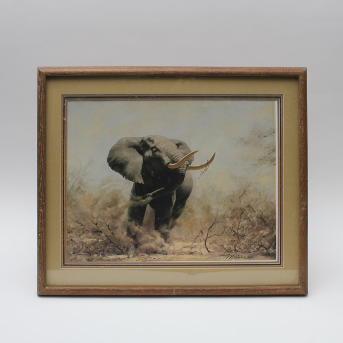 Guy Coheleach Offset Lithograph "Beware: African Bull Elephant"
