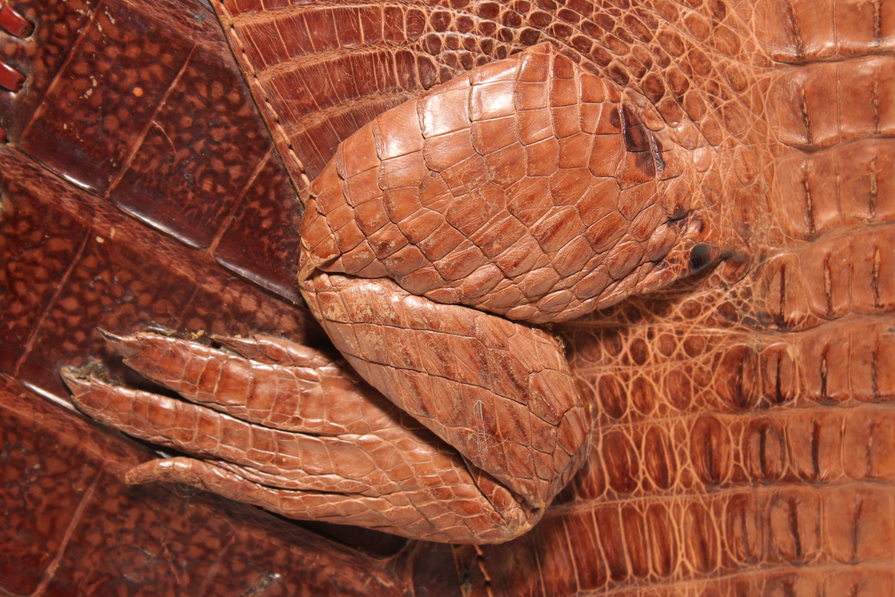 1940s S&S Genuine Taxidermy Alligator Handbag from Cuba