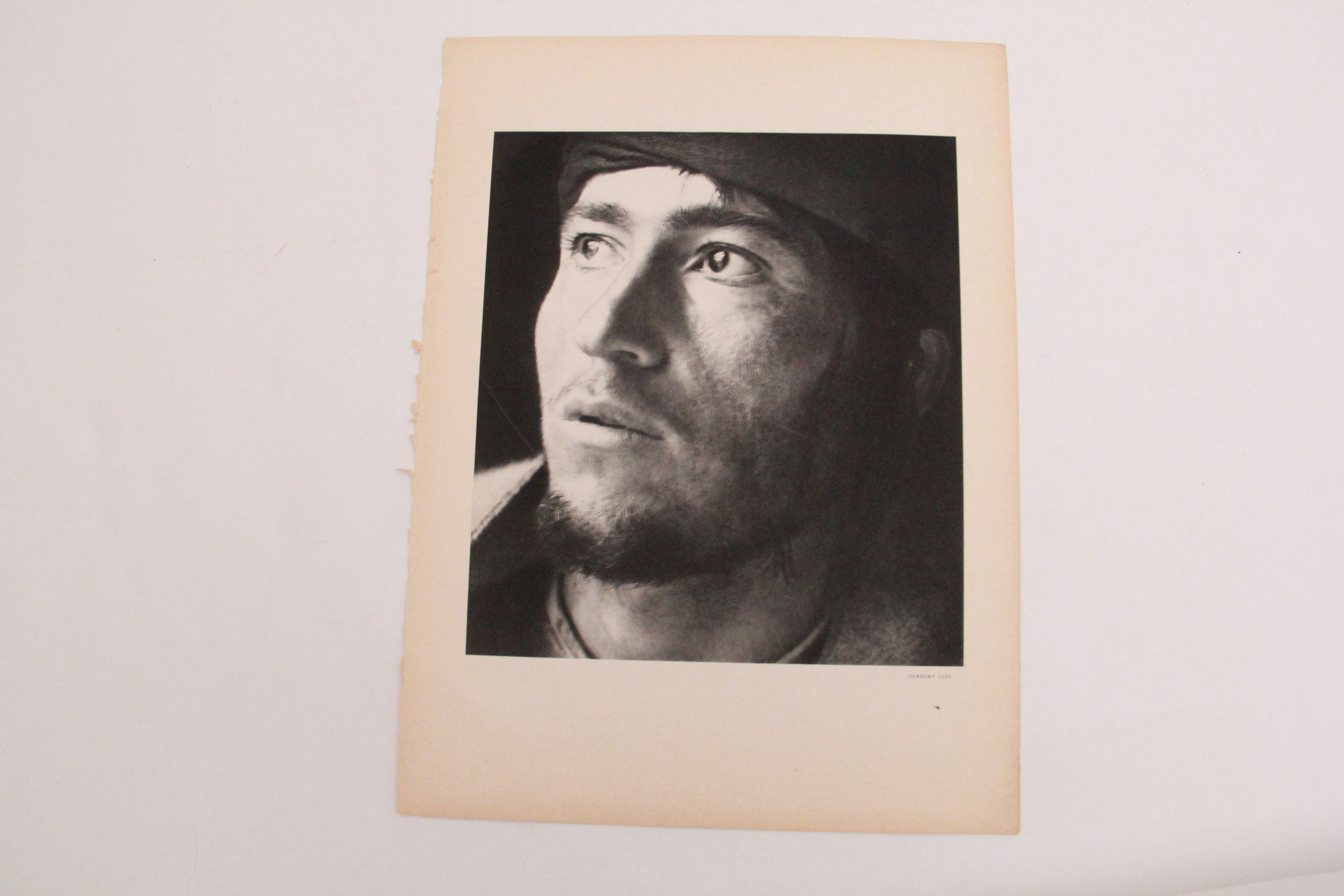 Collection of Vintage and Antique Prints