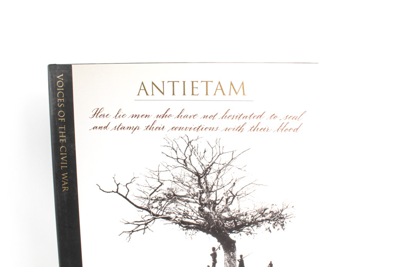 Twelve "Voices of the Civil War" Books