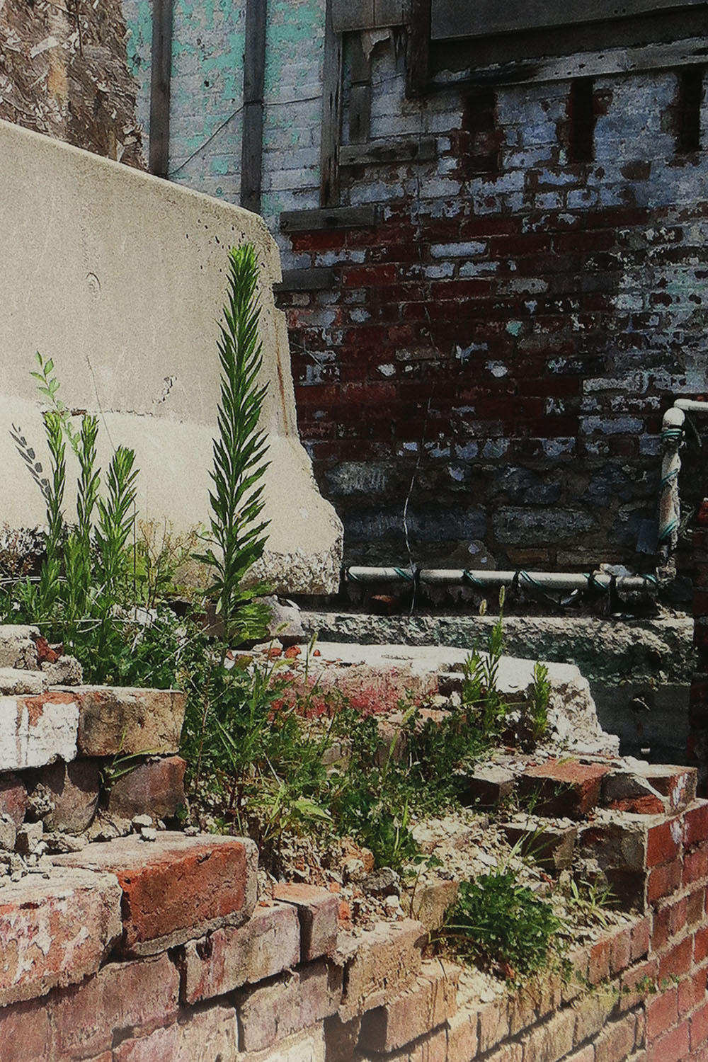 Kim Flora Photograph on Acrylic "West End, Cincinnati #3"