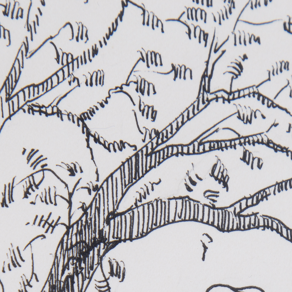 D. Abeloff Drawing of Young Woman Sitting Under A Tree At The Shoreline