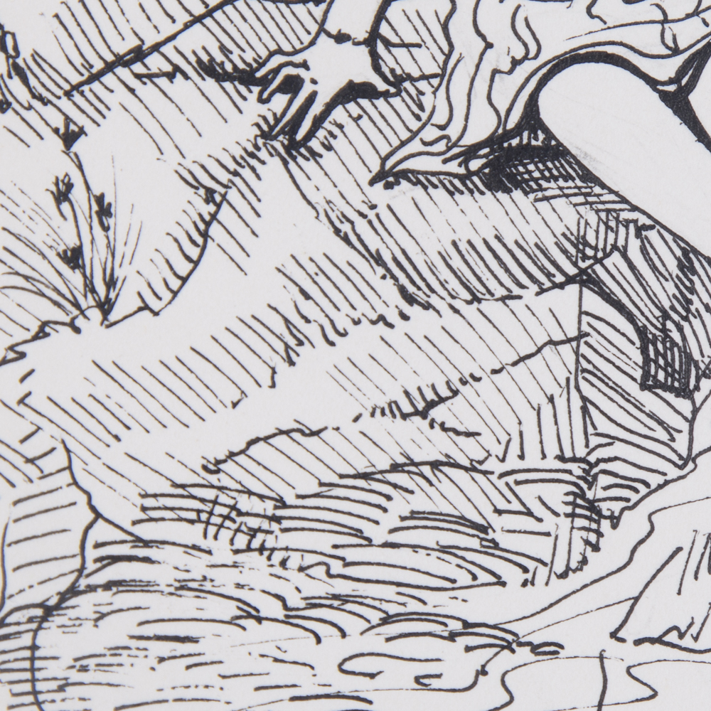 D. Abeloff Drawing of Young Woman Sitting Under A Tree At The Shoreline