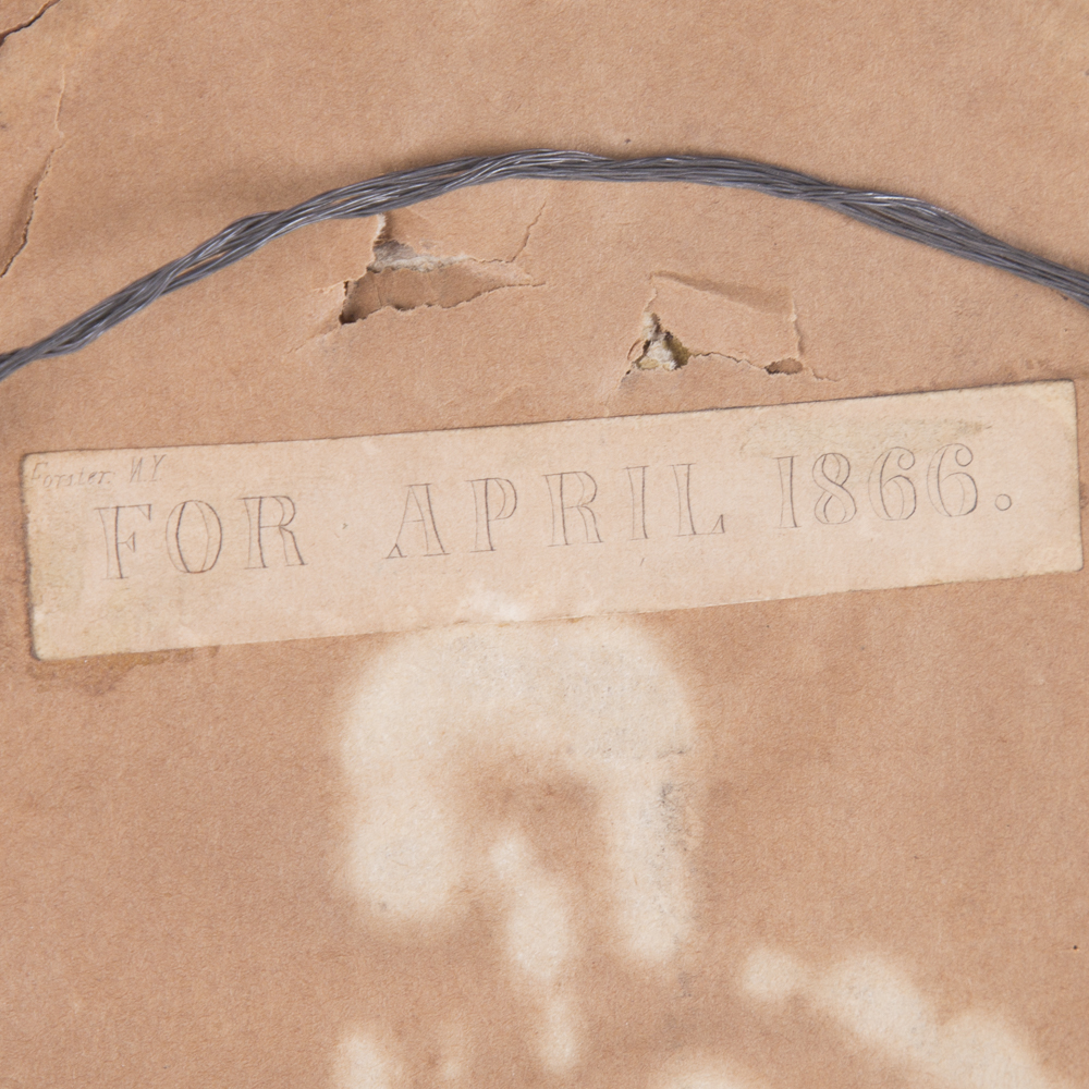 Hand-Tinted La Mode Fashion Engraving