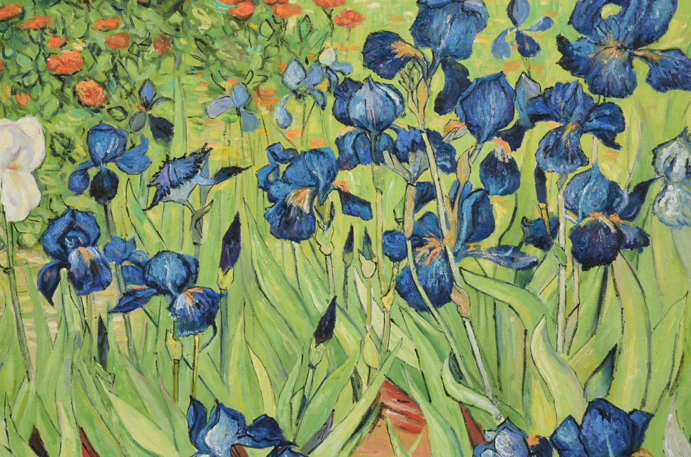 Oil Copy Painting on Canvas after Vincent van Gogh "Irises"