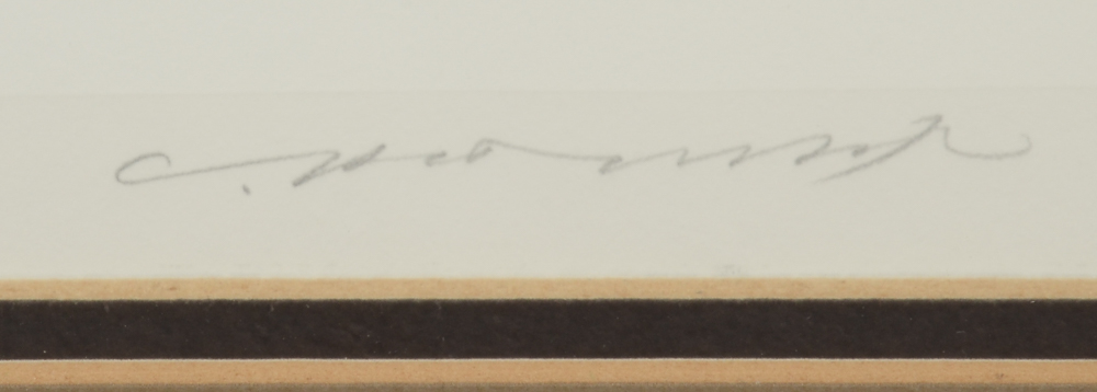 Charley Harper Limited Edition Serigraph "Down Under Down Under"