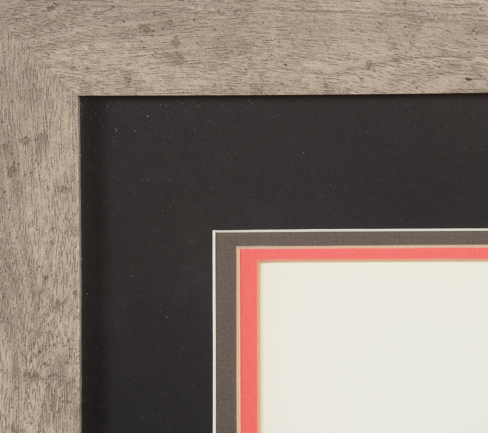 Charley Harper Lithograph "Raccrobat"