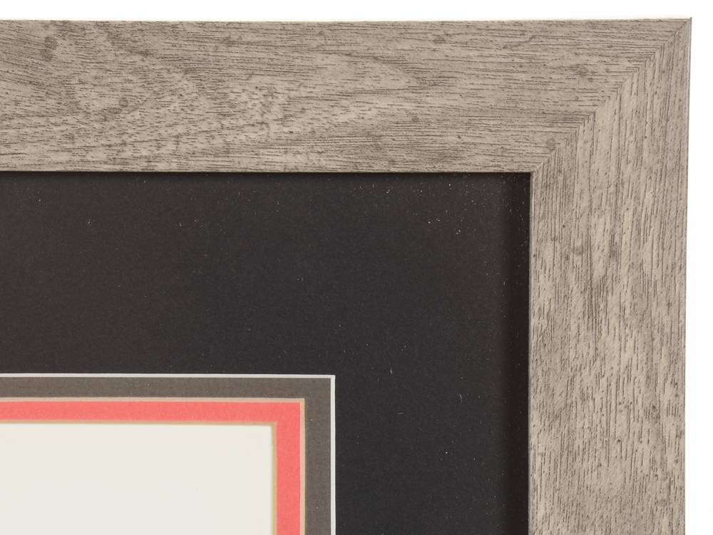 Charley Harper Lithograph "Raccrobat"