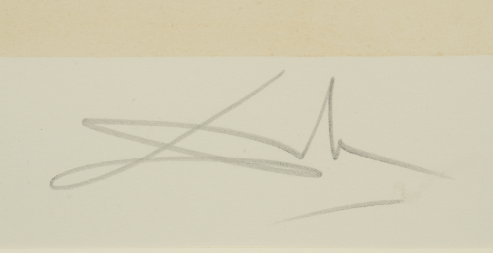 Salvador Dalí Signed Artist Proof Etching and Engraving "Napoleon"