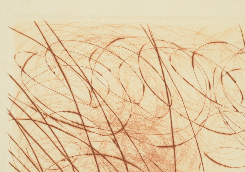 Salvador Dalí Signed Artist Proof Etching and Engraving "Napoleon"