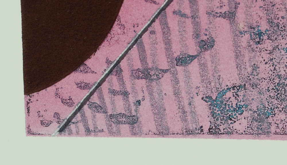 Offset Lithograph Reproduction after Chris Hill