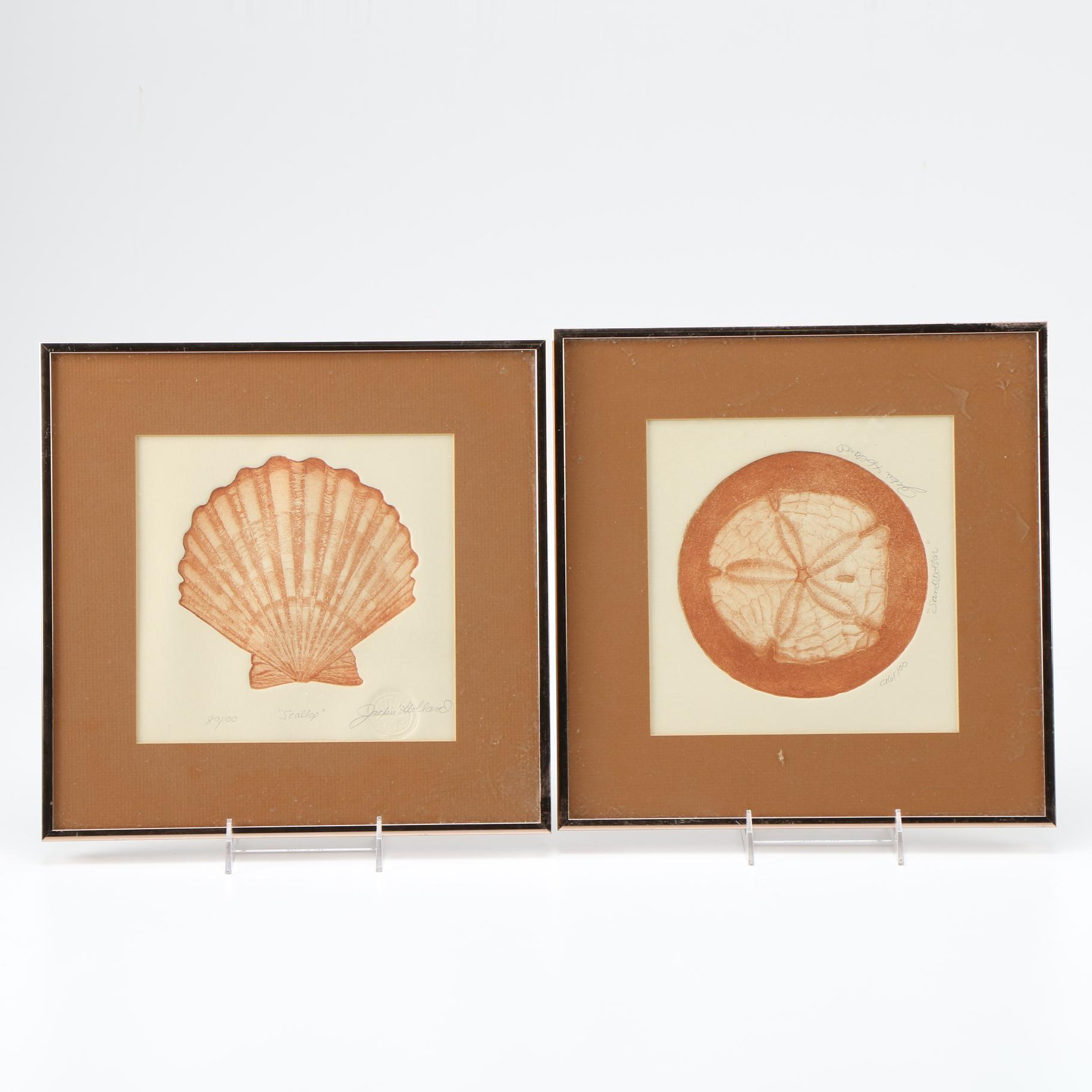 Jackie Holland Limited Edition Etchings "Scallop" and "Sand Dollar"