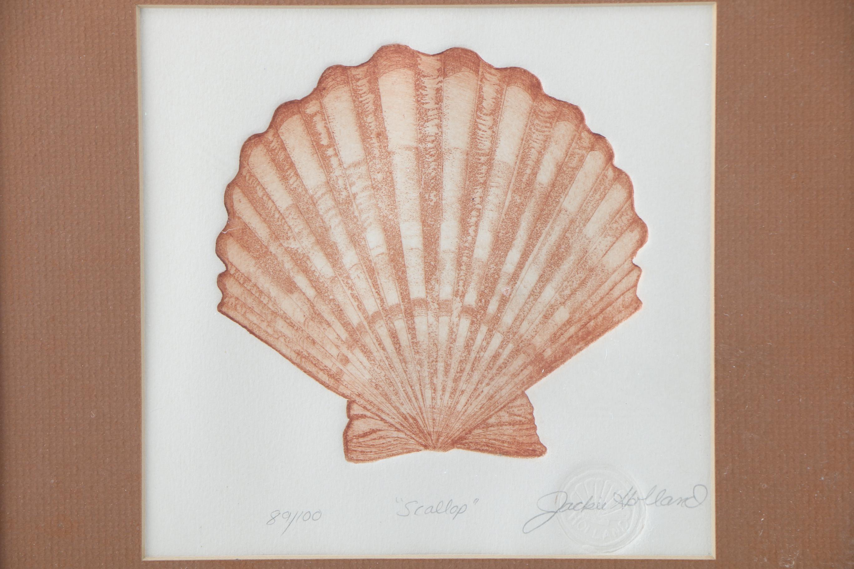 Jackie Holland Limited Edition Etchings "Scallop" and "Sand Dollar"