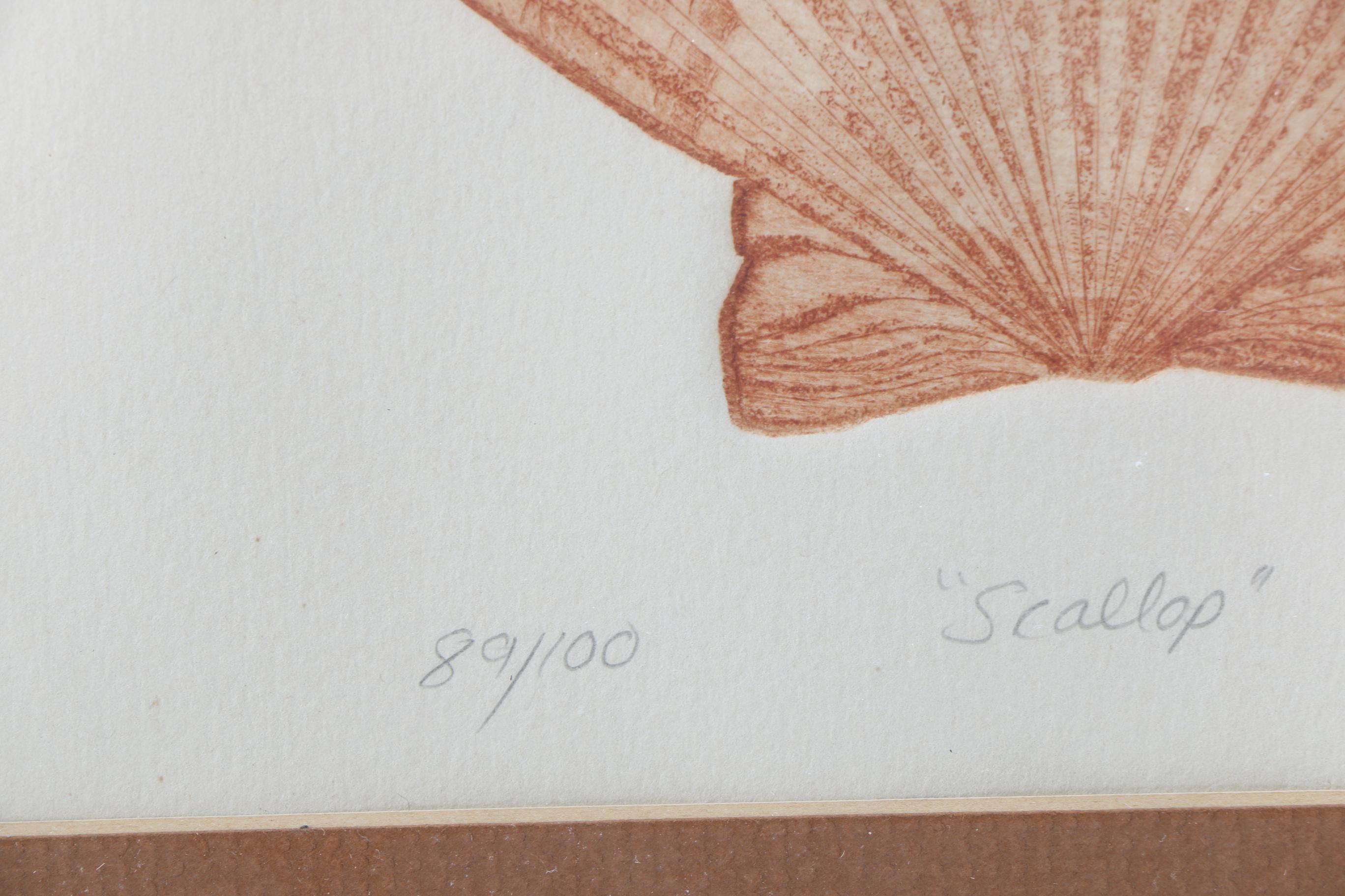 Jackie Holland Limited Edition Etchings "Scallop" and "Sand Dollar"