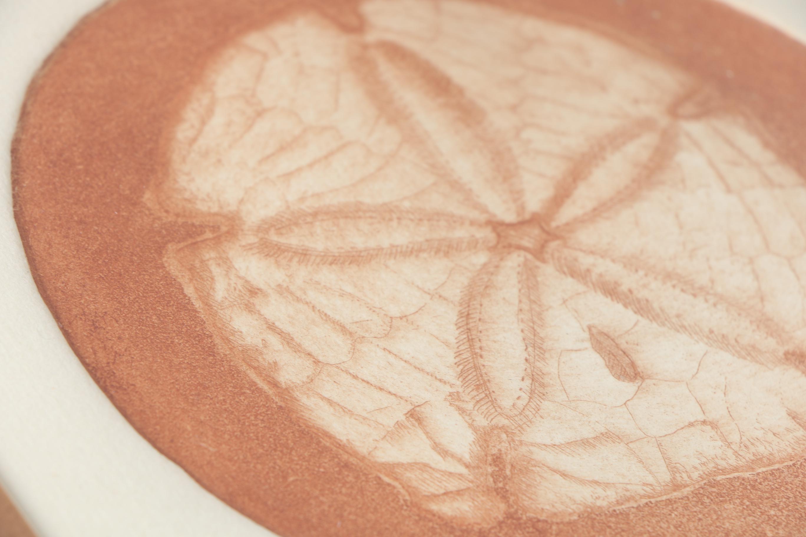 Jackie Holland Limited Edition Etchings "Scallop" and "Sand Dollar"