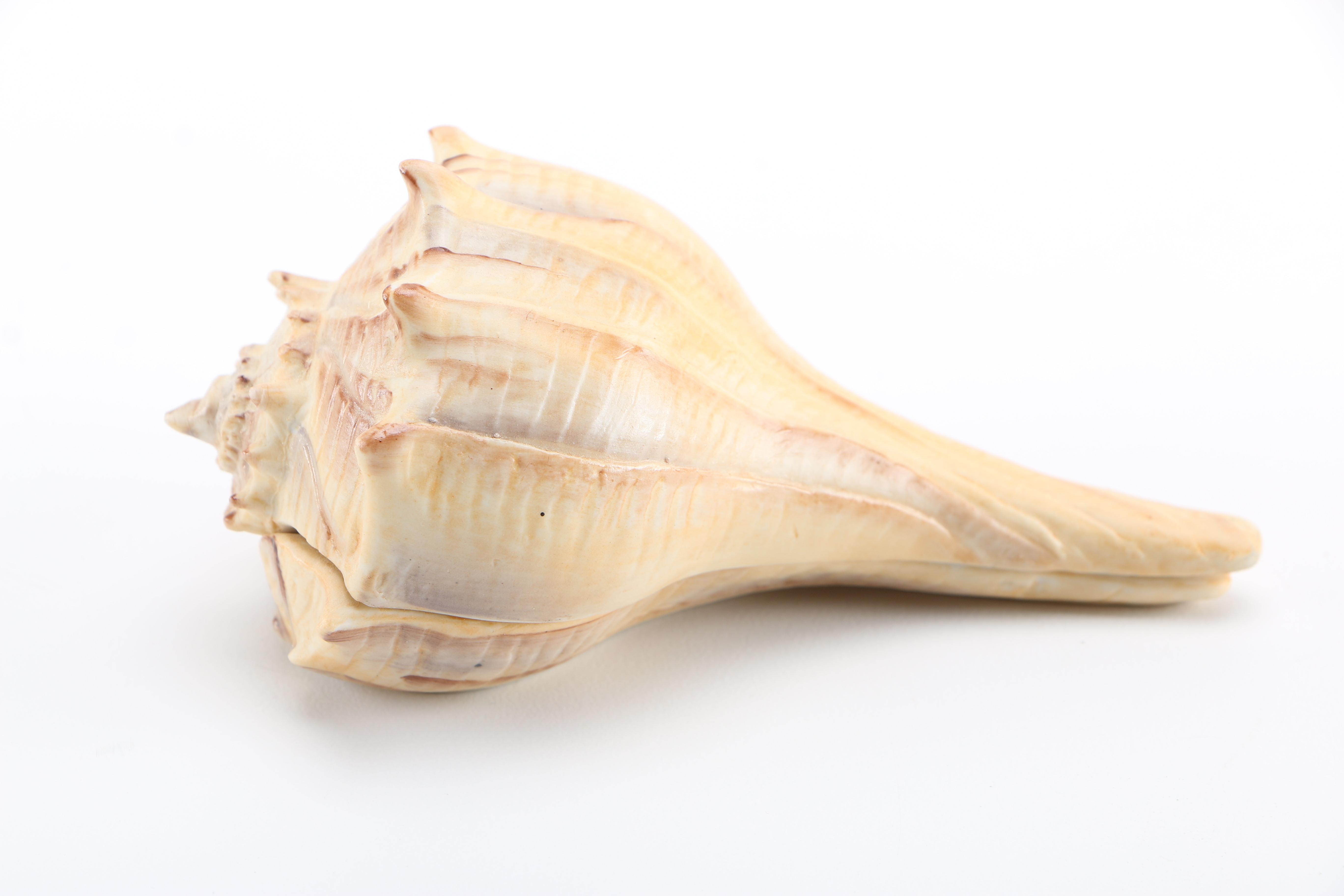 Lenox Handpainted Porcelain Shell Trinket Boxes