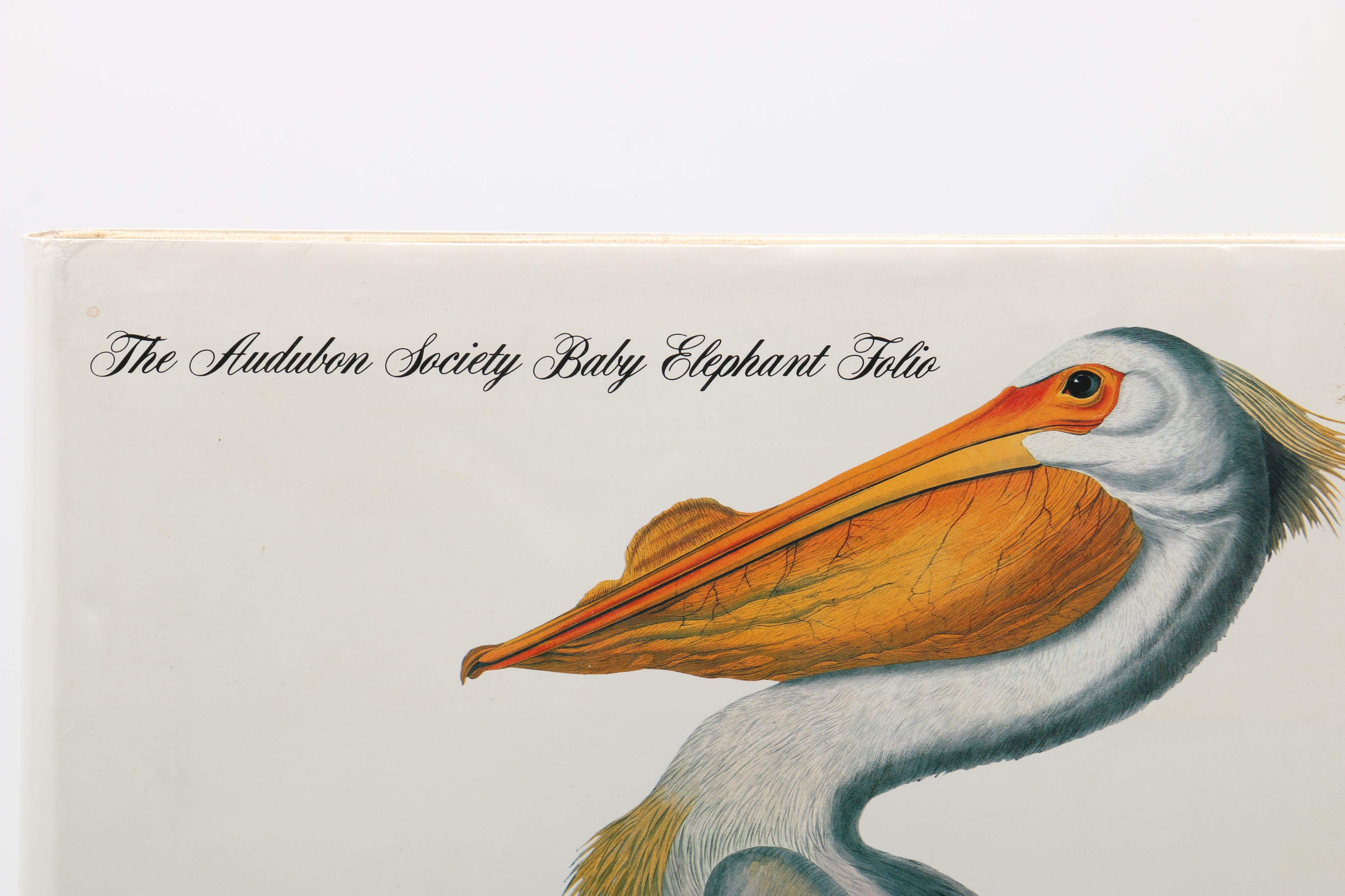 1981 “Audubon's Birds of America” by Roger Tory Peterson & Virginia Marie Peterson