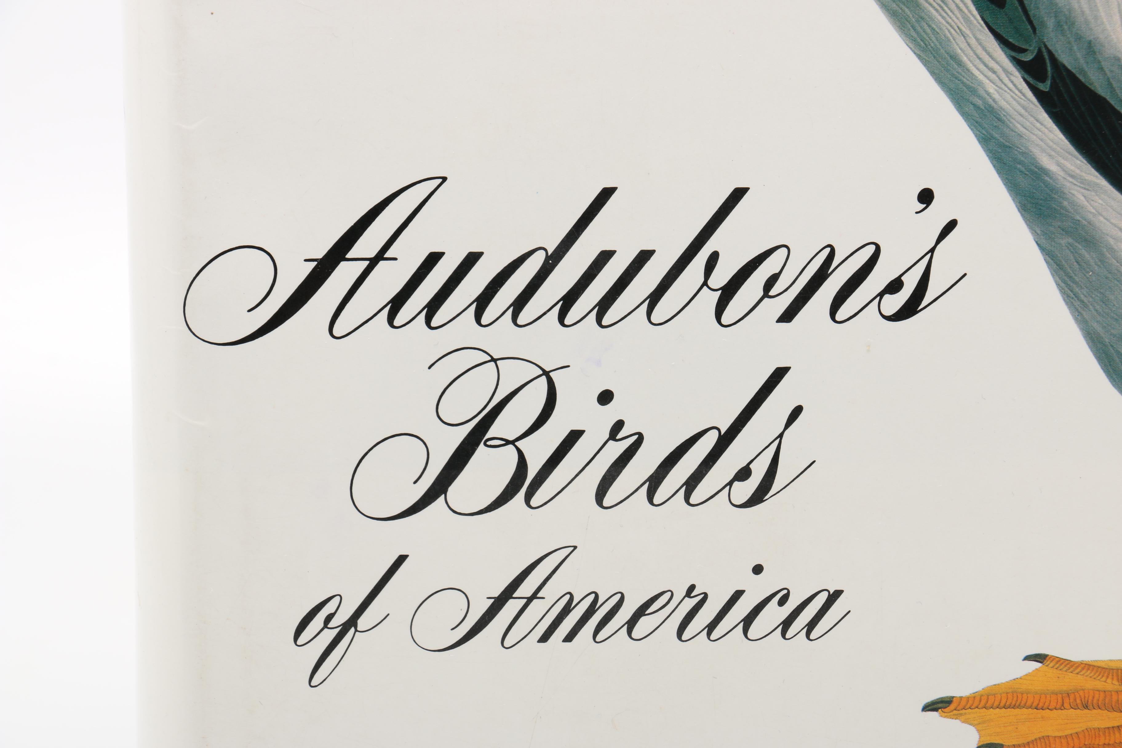 1981 “Audubon's Birds of America” by Roger Tory Peterson & Virginia Marie Peterson