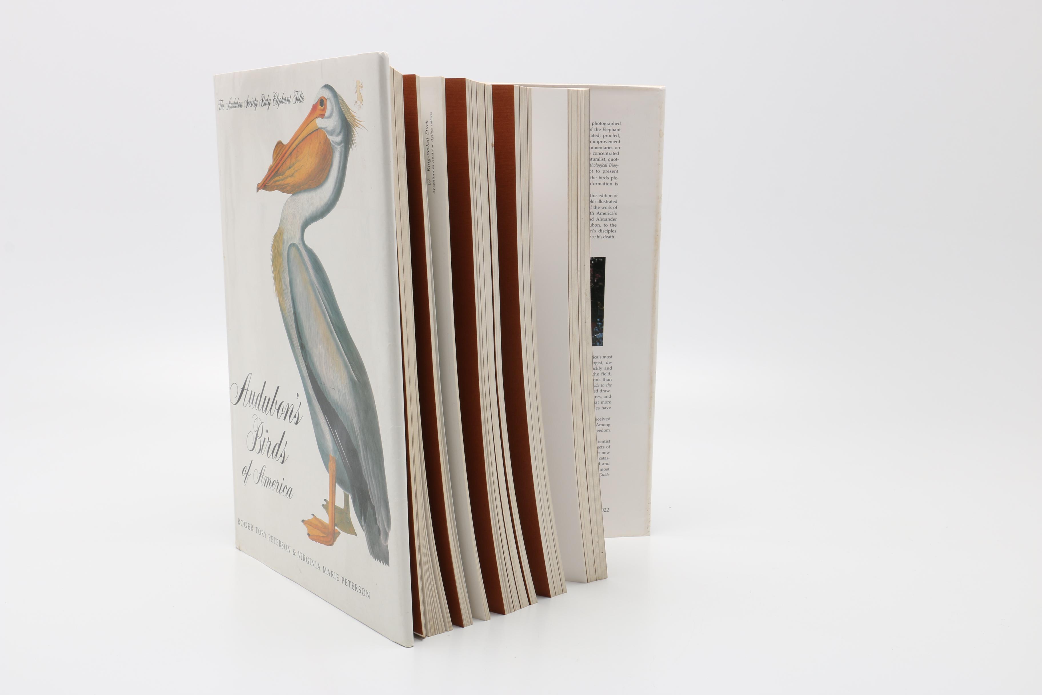 1981 “Audubon's Birds of America” by Roger Tory Peterson & Virginia Marie Peterson