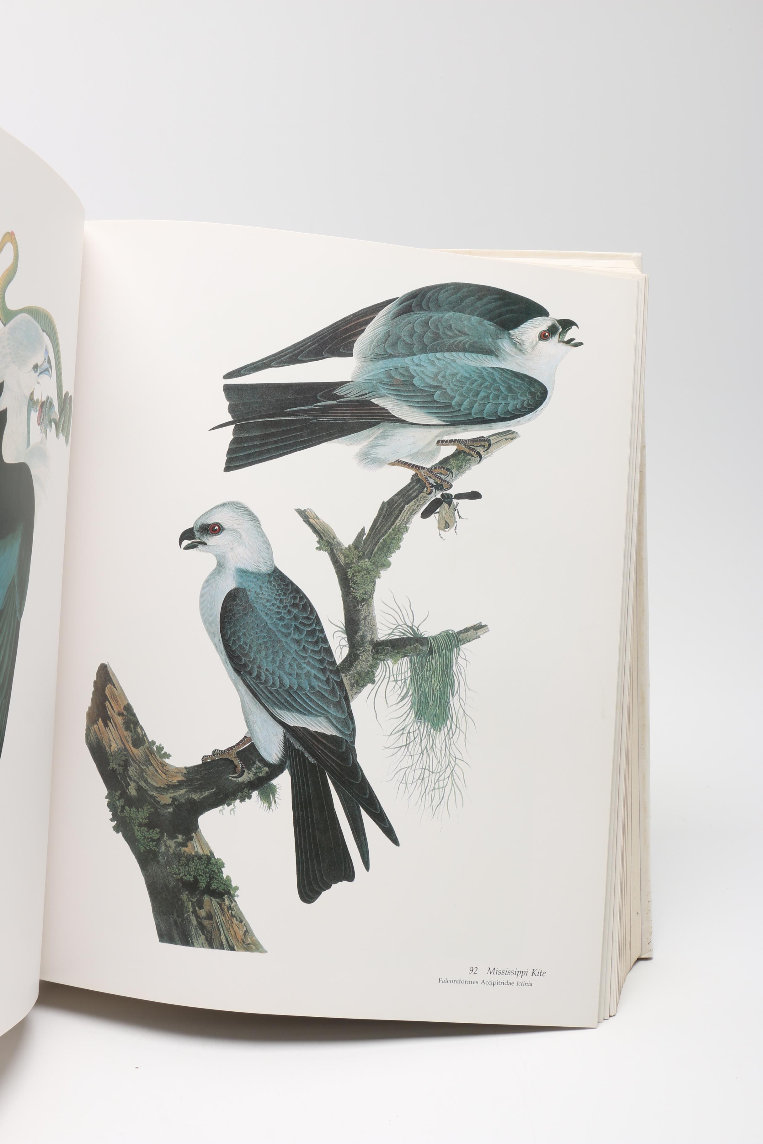 1981 “Audubon's Birds of America” by Roger Tory Peterson & Virginia Marie Peterson