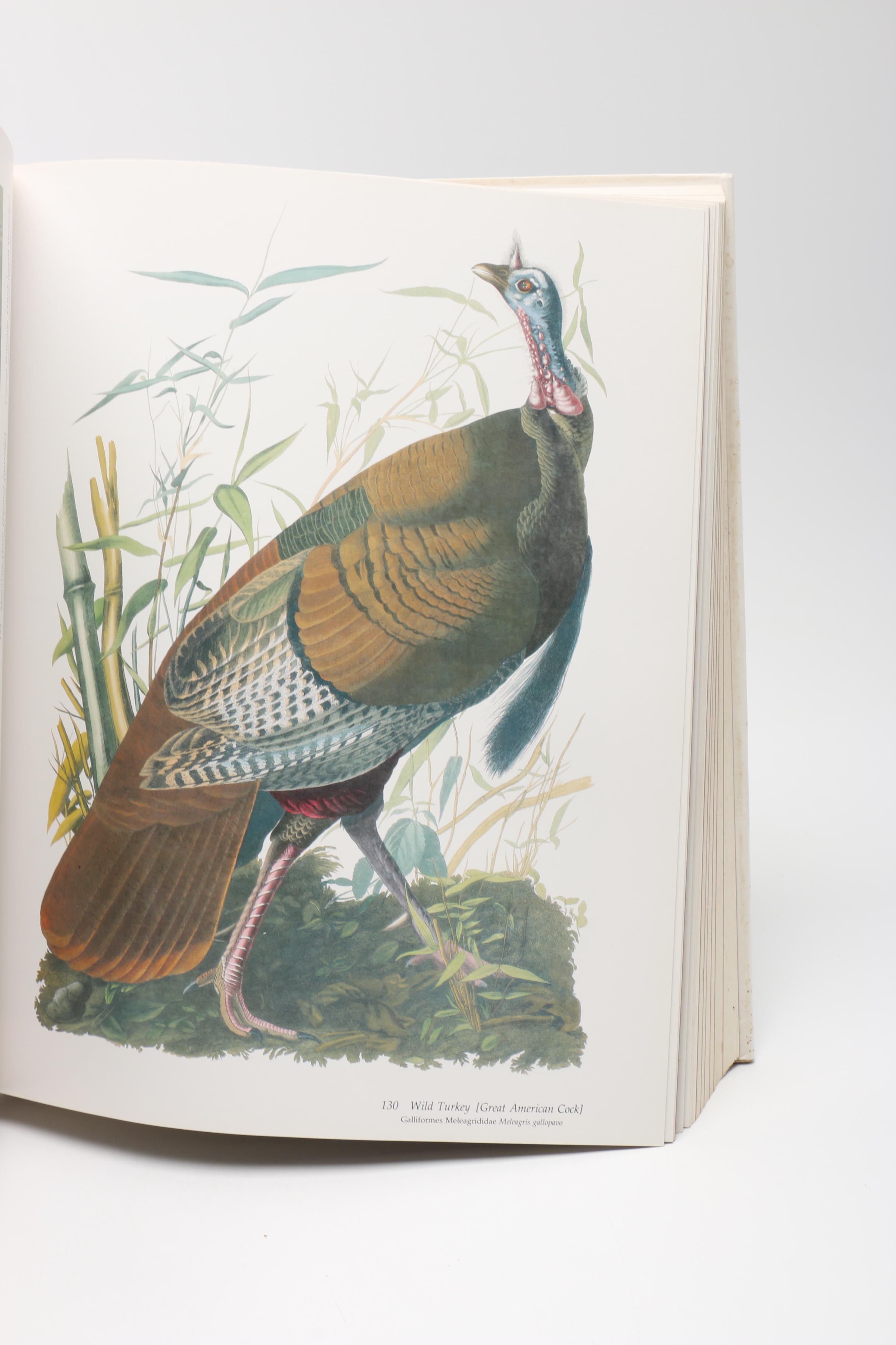 1981 “Audubon's Birds of America” by Roger Tory Peterson & Virginia Marie Peterson