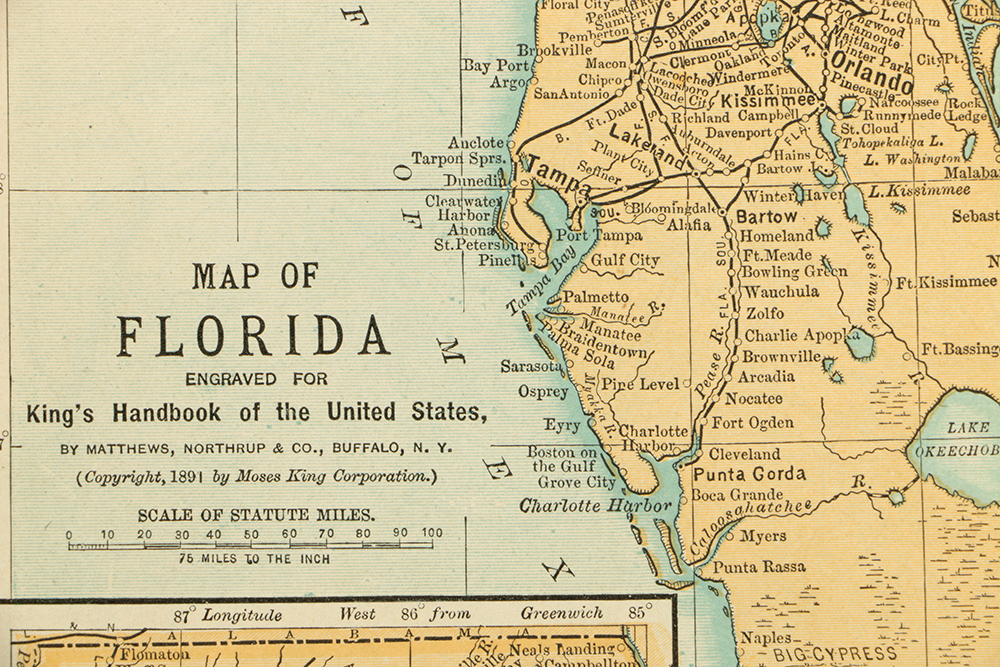 1891 Colored Maps of Georgia and Florida by Matthews, Northrup, & Company