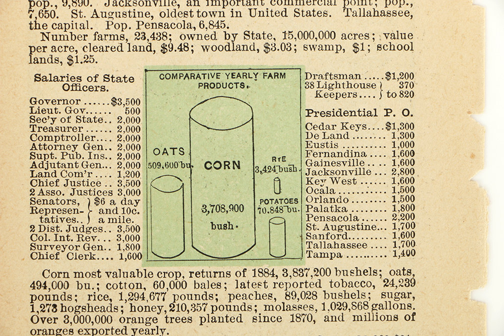 Antique Colored Map of Georgia by Rand, McNally & Company