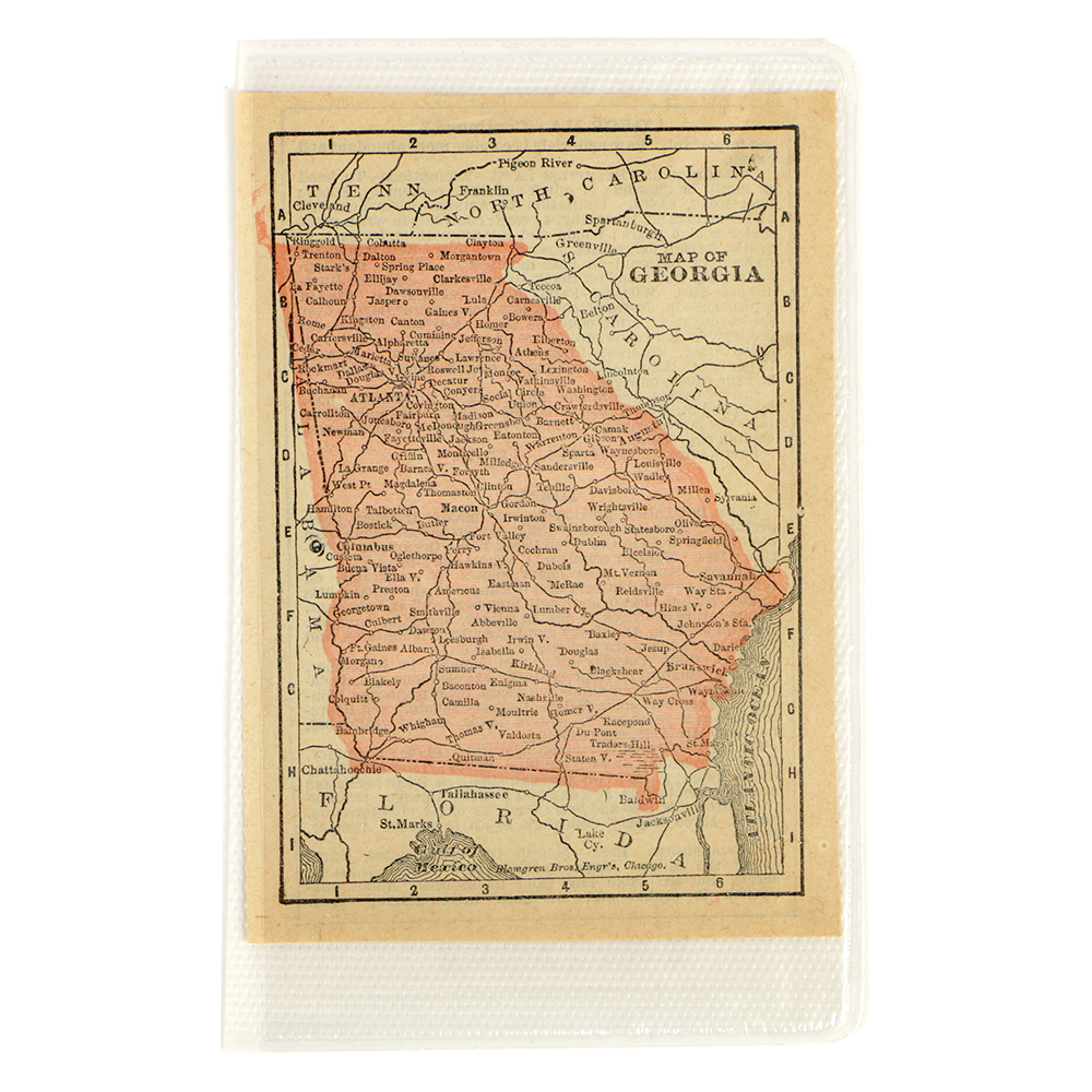 Antique Colored Map of Georgia by Blomgren Brothers Engravers