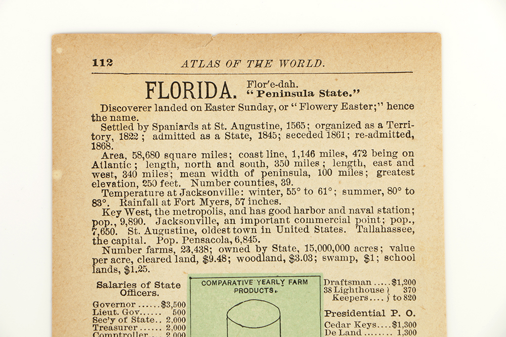 Antique Colored Map of Georgia by Rand, McNally & Company