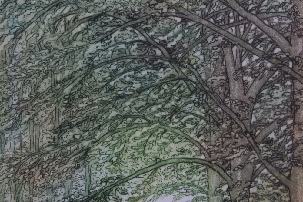 Stephan Whittle Intaglio Prints "The Beechwood Path" and "The Edge of the Wood"
