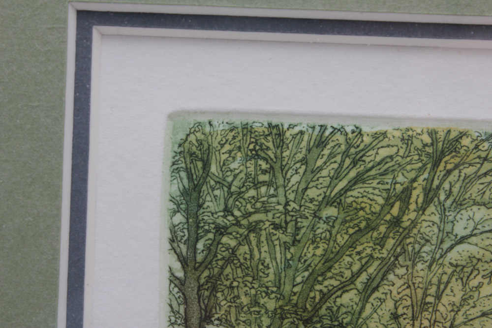 Stephan Whittle Intaglio Prints "The Beechwood Path" and "The Edge of the Wood"