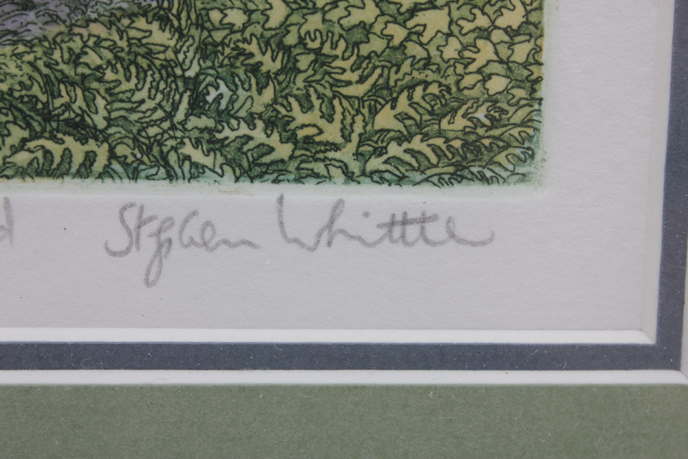 Stephan Whittle Intaglio Prints "The Beechwood Path" and "The Edge of the Wood"