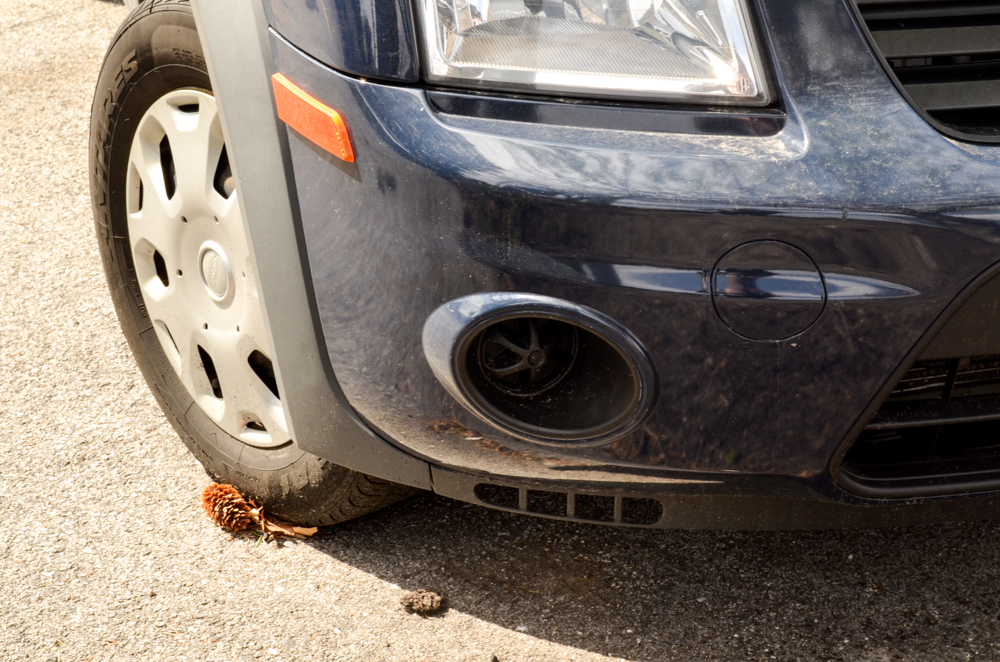 2013 Dark Blue Ford Transit Connect RSC
