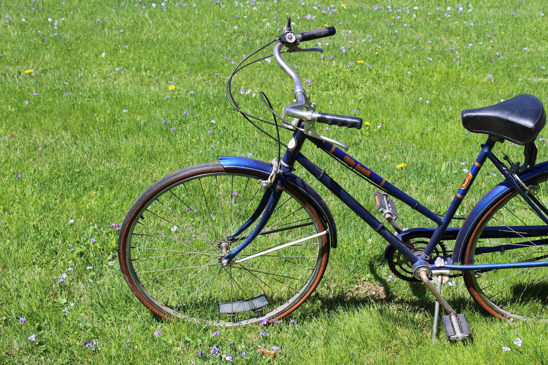 Sears-Roebuck & Co. "Free Spirit" Three-Speed Cruiser Bicycle