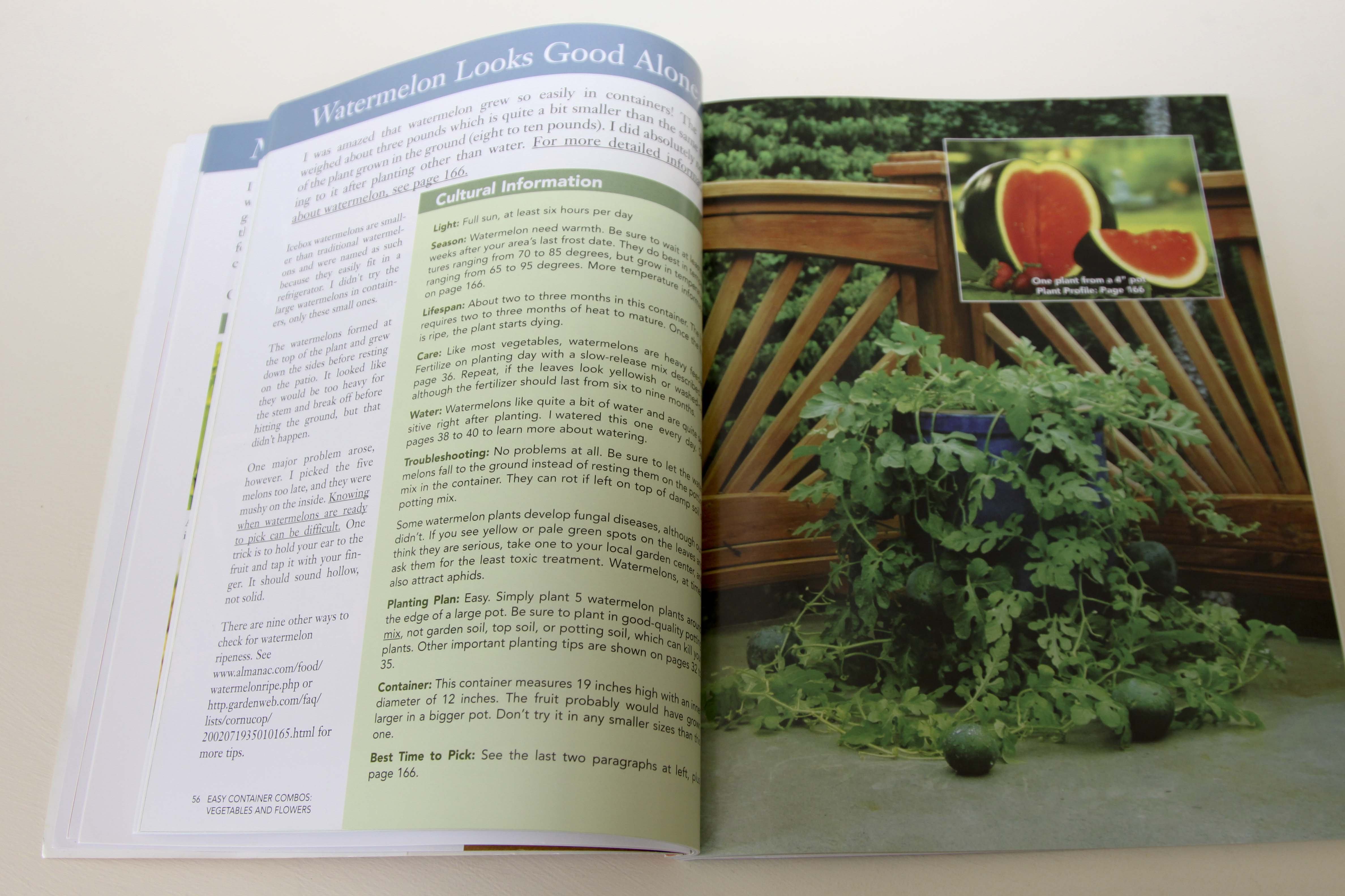 Lifetime Raised Garden Bed