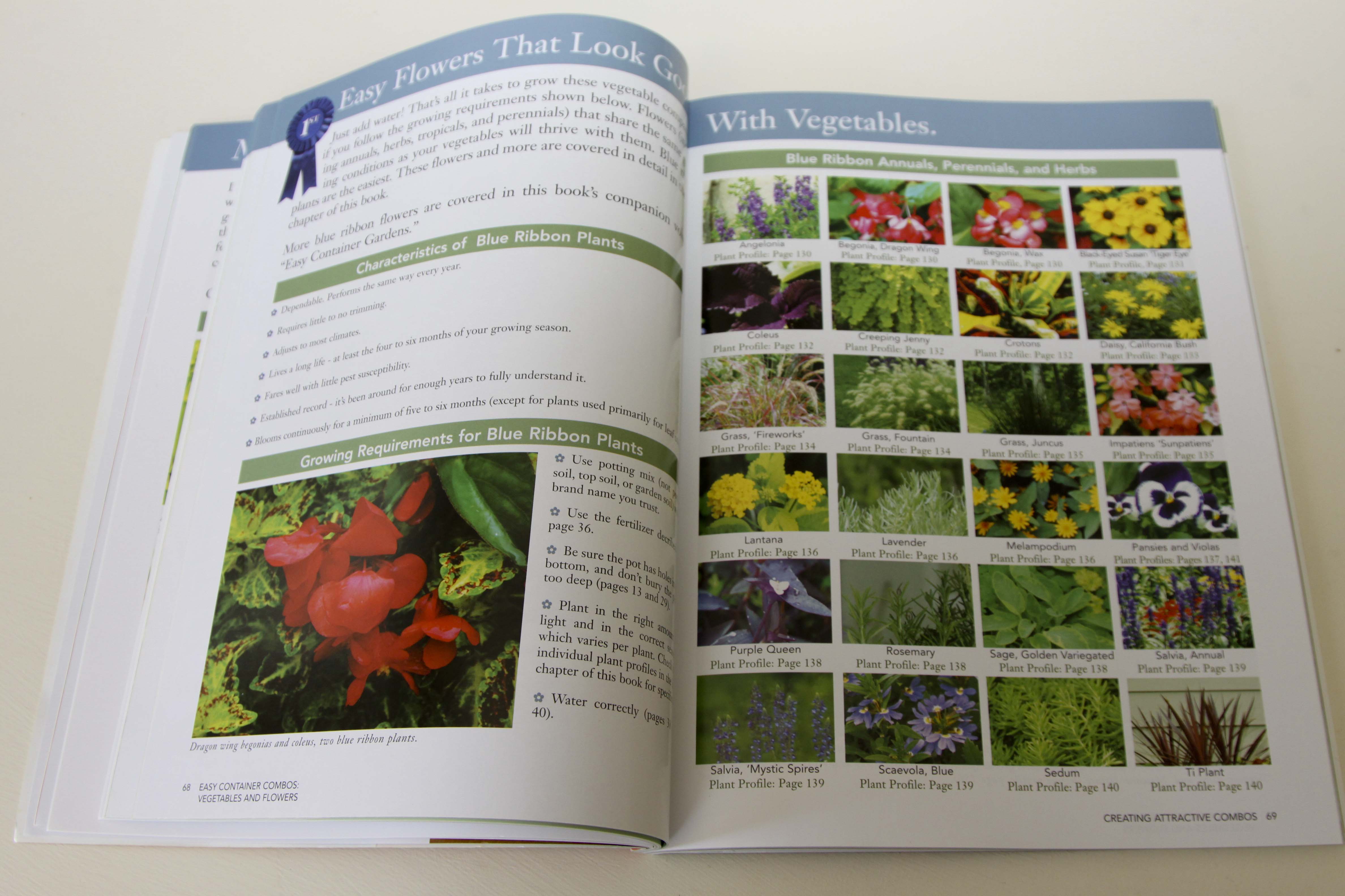 Lifetime Raised Garden Bed