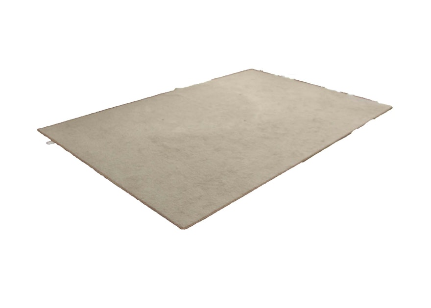 Ivory Colored Area Rug