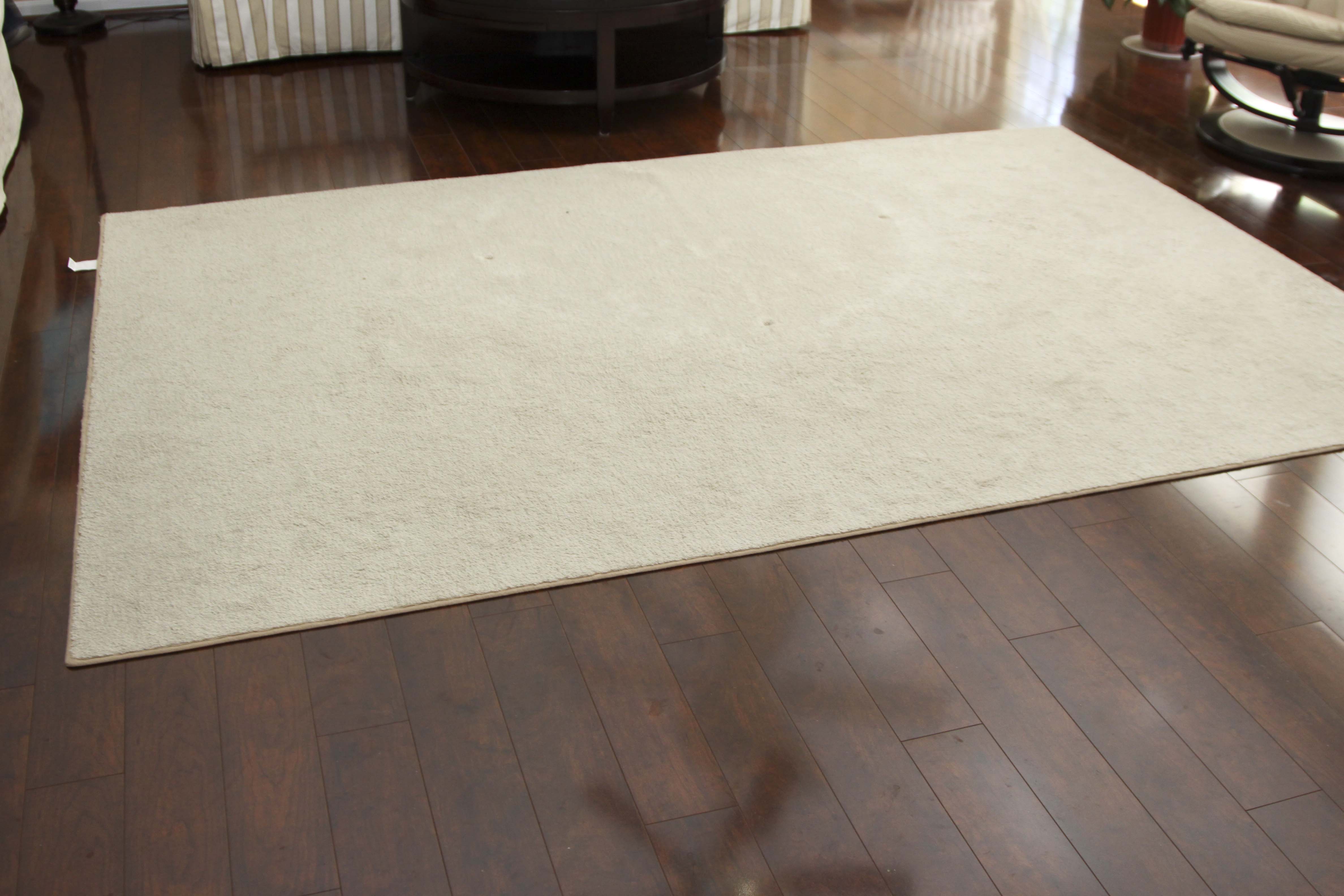 Ivory Colored Area Rug