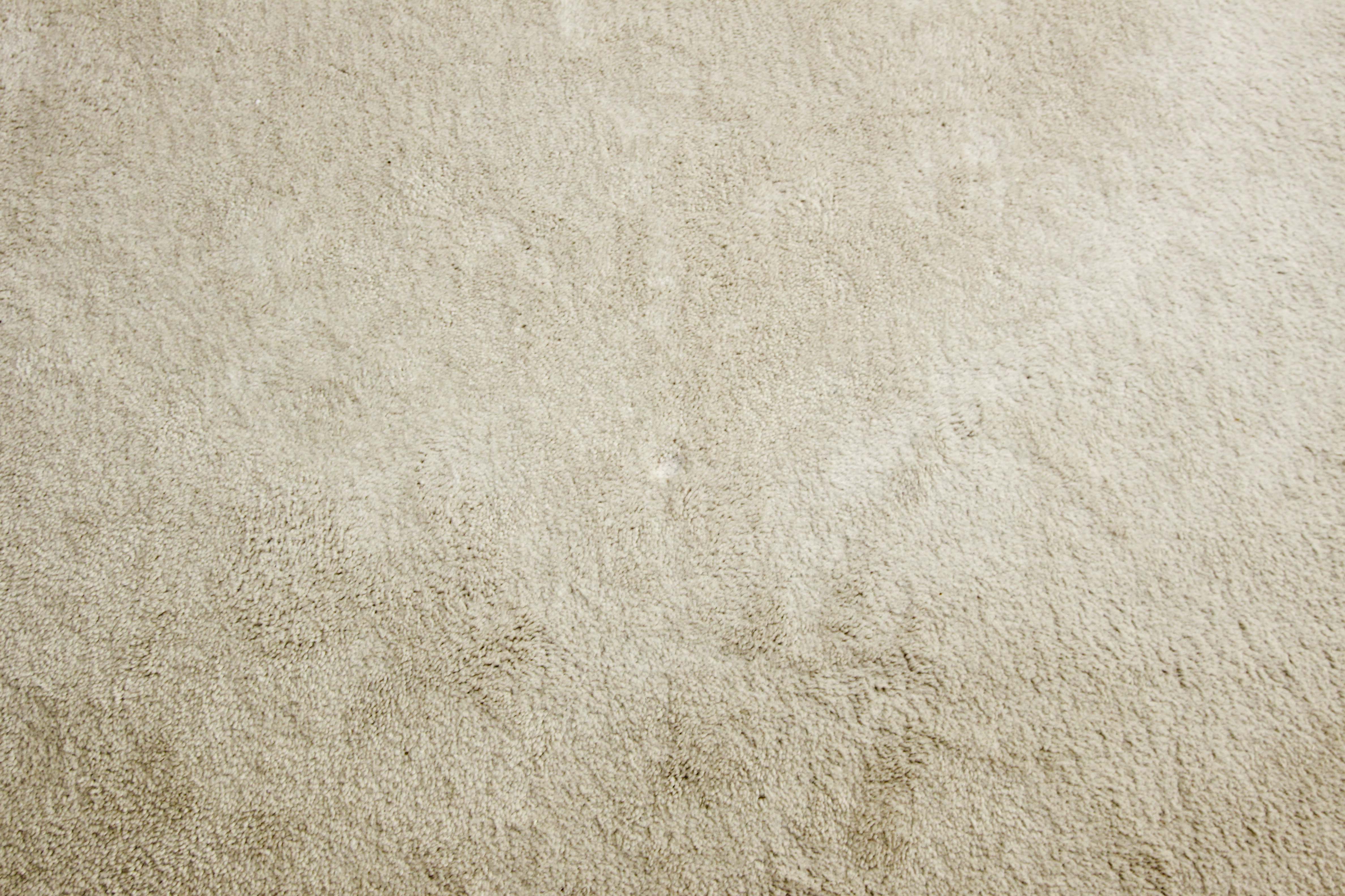 Ivory Colored Area Rug