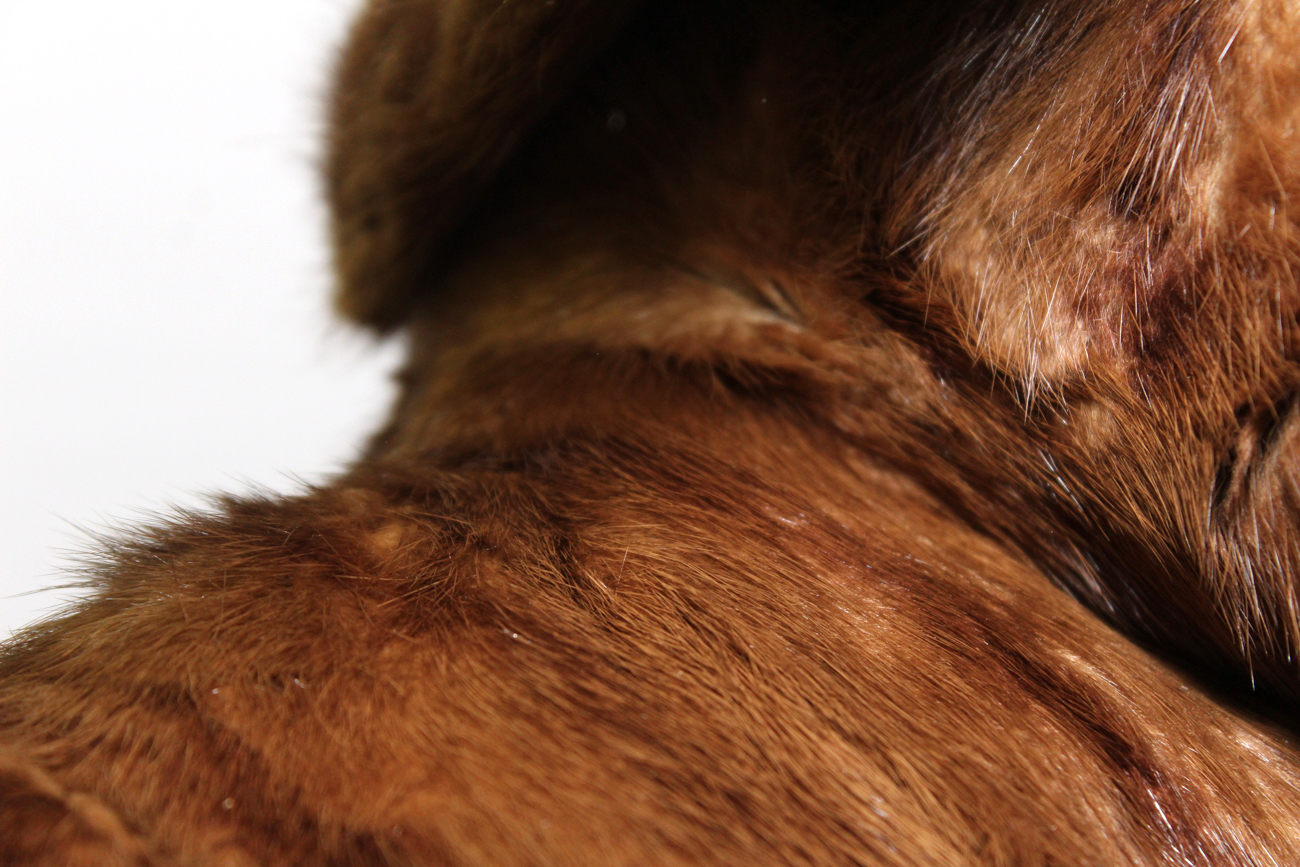 Vintage Lowenthal's Fur Coat