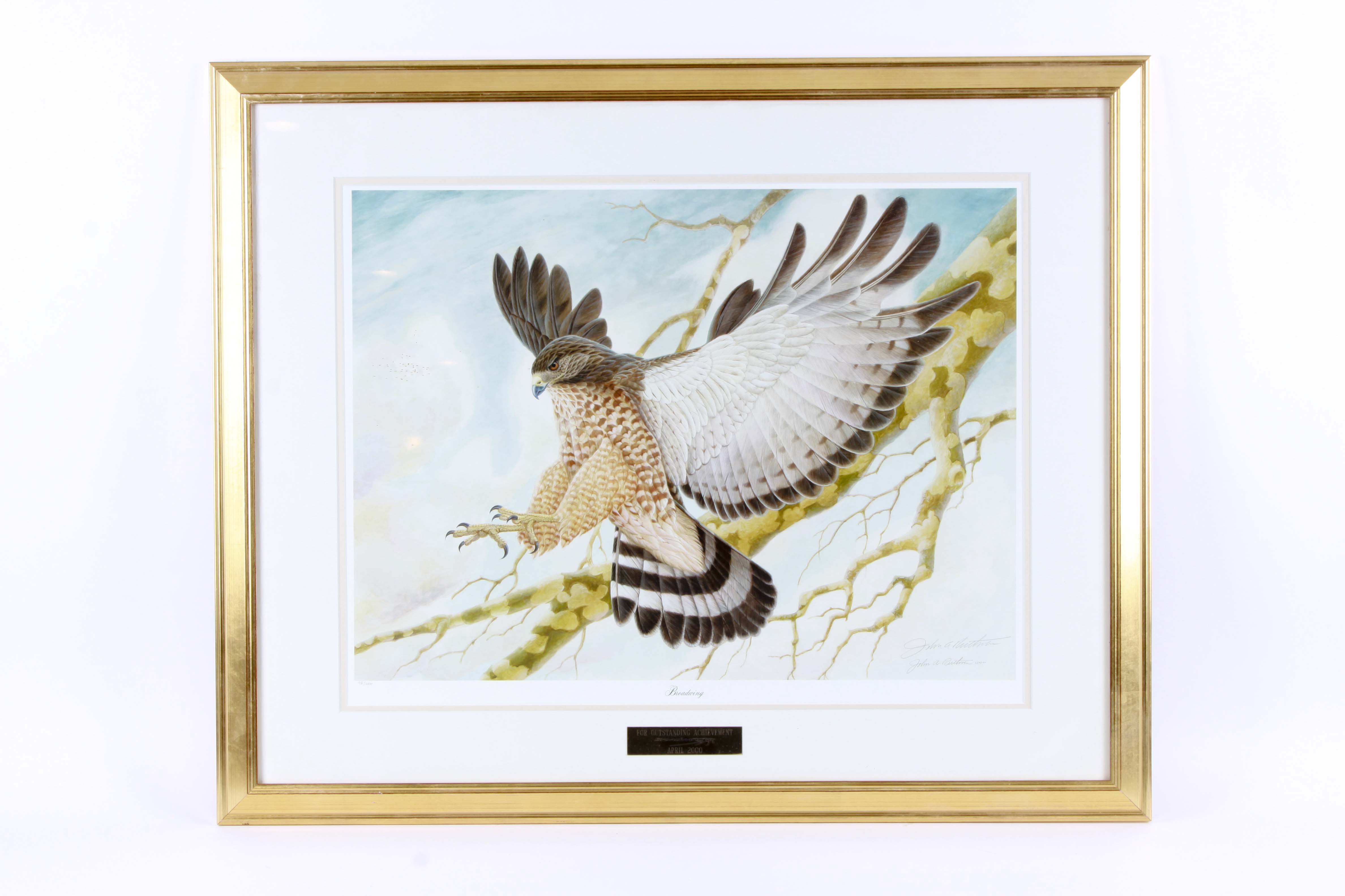 John Ruthven Signed Limited Edition Offset Lithograph "Broadwing"