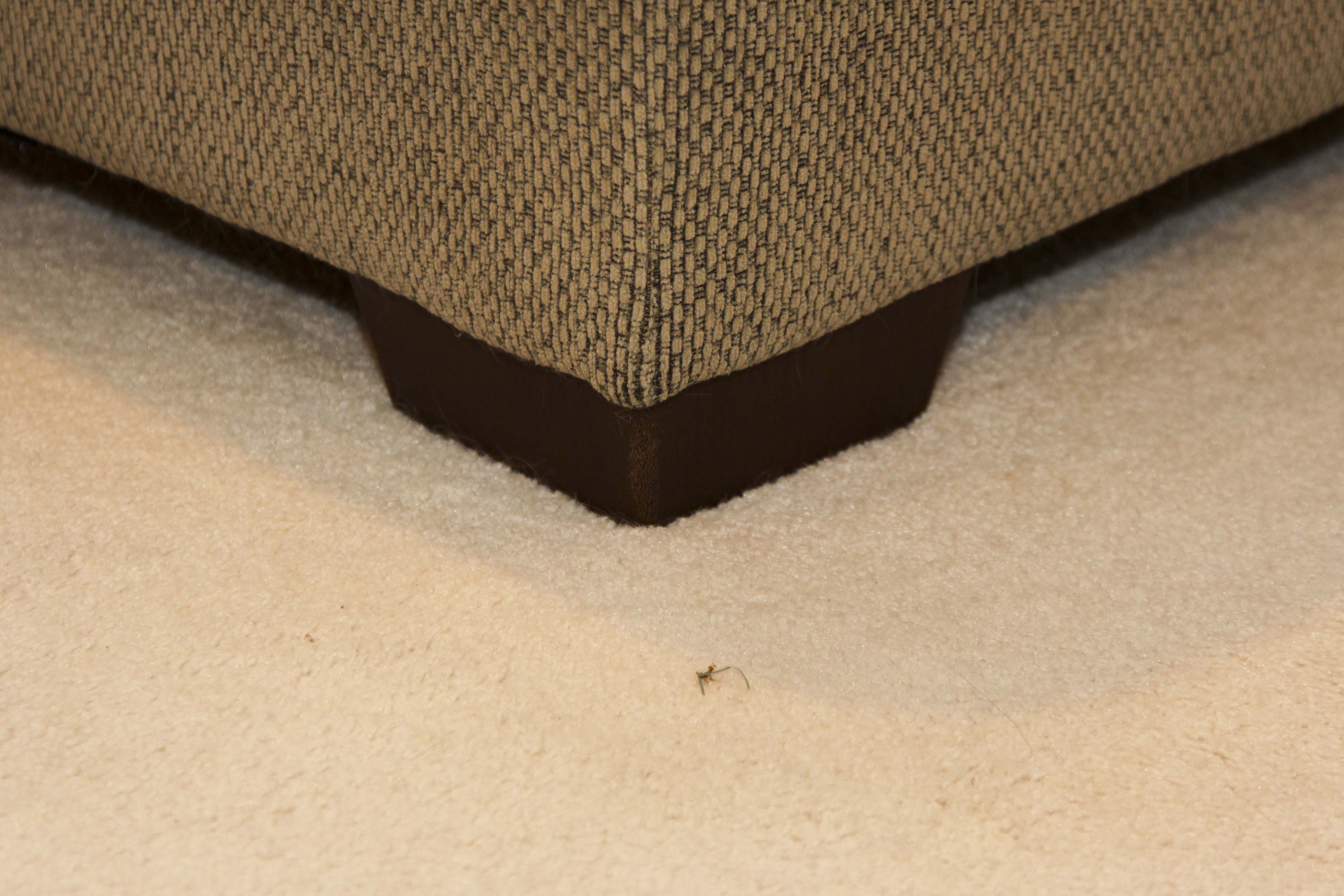 Sectional Sofa by Bauhaus