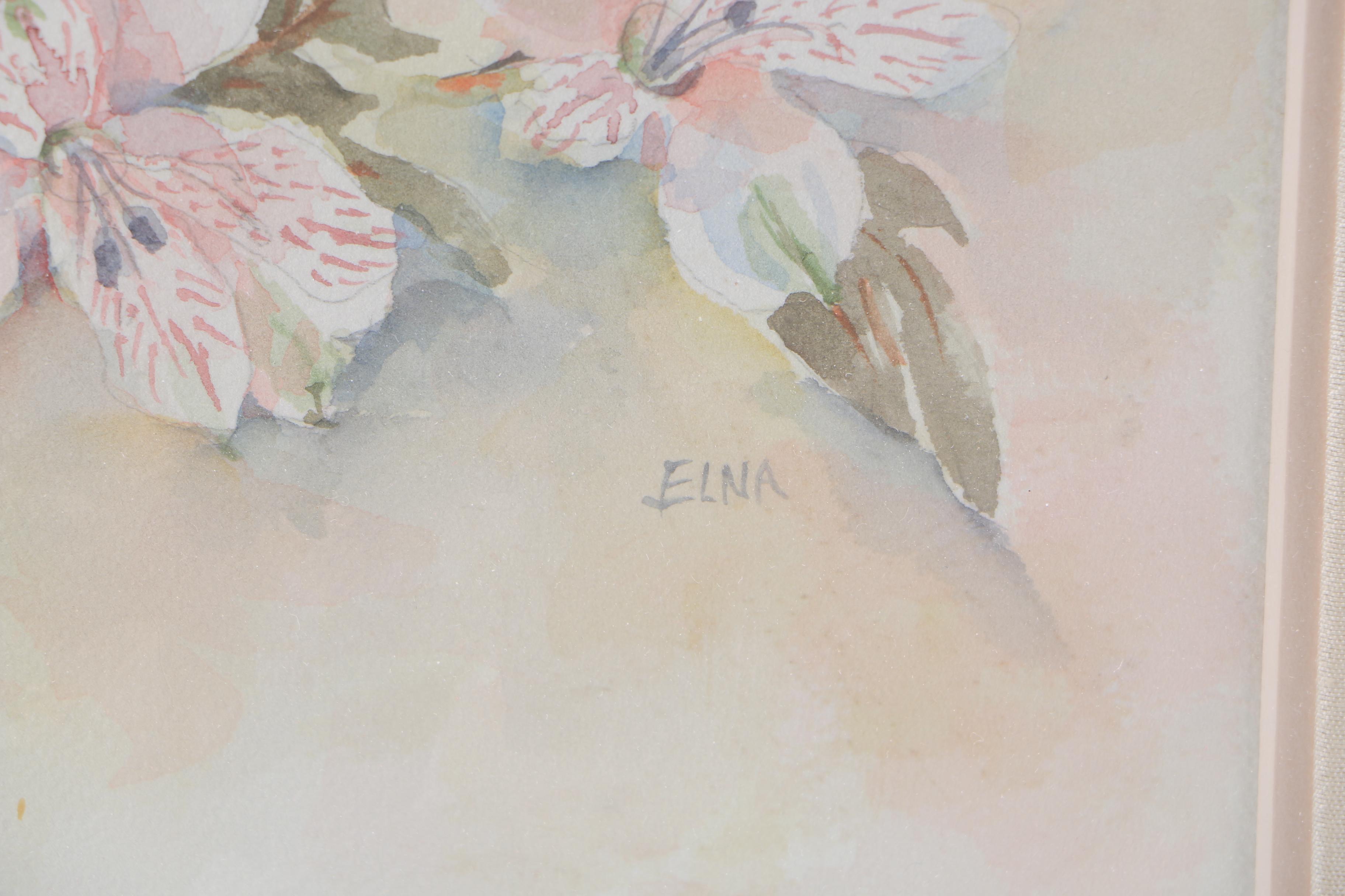 Elna Watercolor Painting on Paper "Alstramaria"
