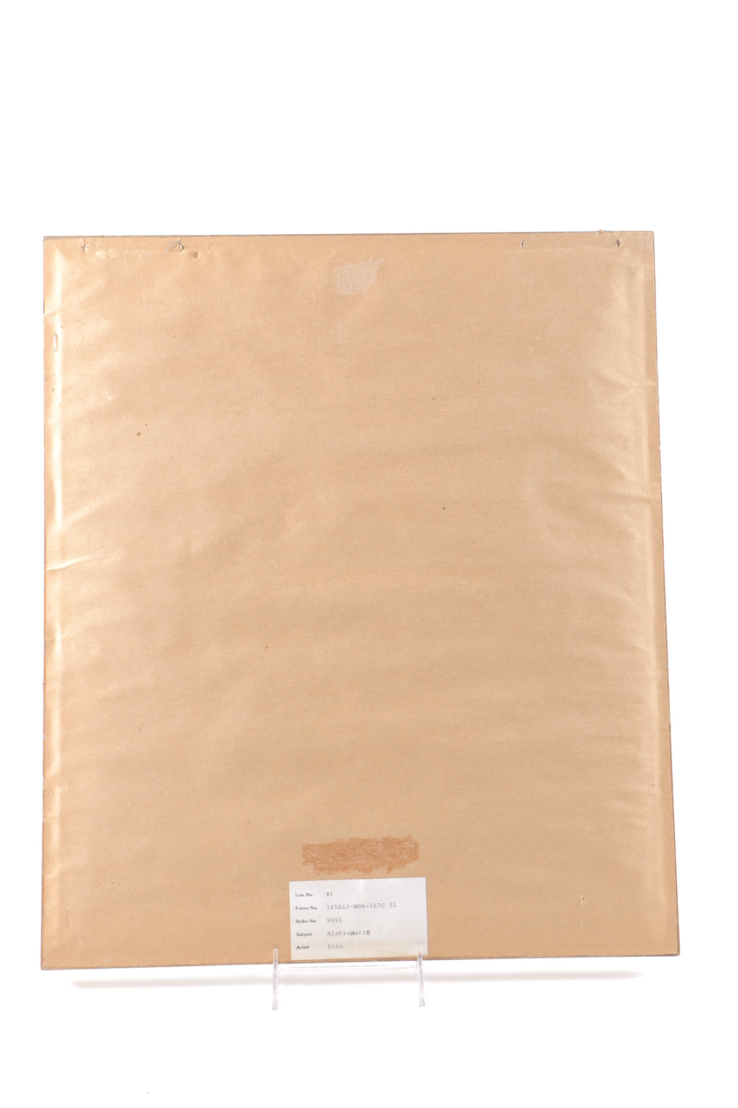 Elna Watercolor Painting on Paper "Alstramaria"