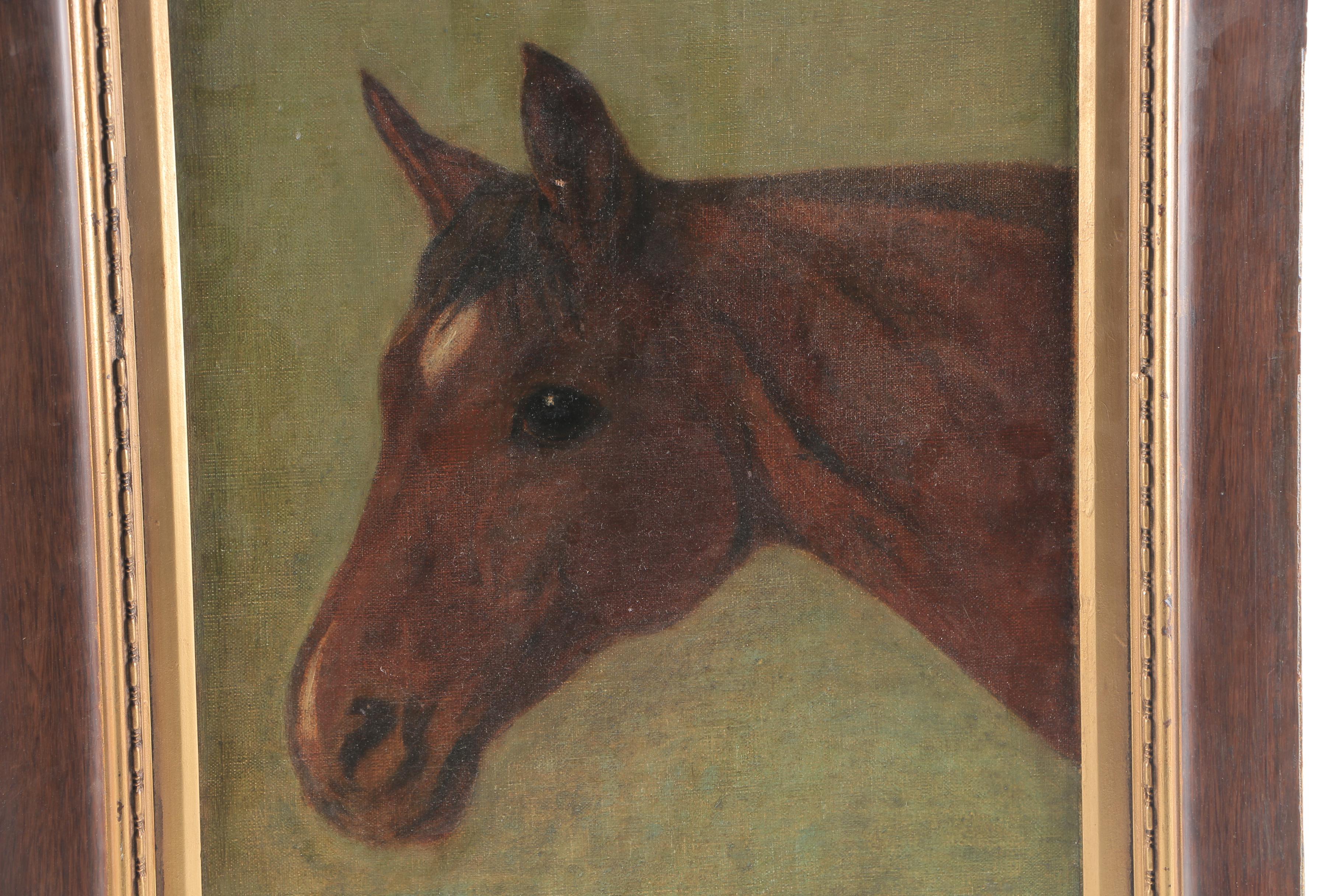 Attributed to G.B Rosher Oil Painting on Canvas "Horse"