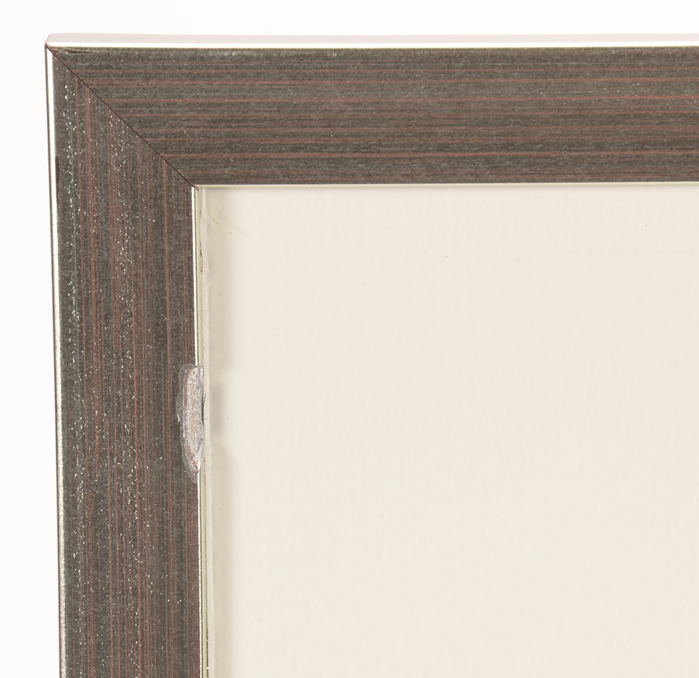 Eyvind Earle Signed Limited Edition Serigraph "Big Sur and Branch"