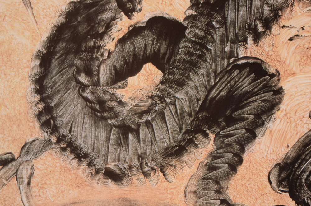 Ruth Faison Shaw 1999 Exhibition Poster