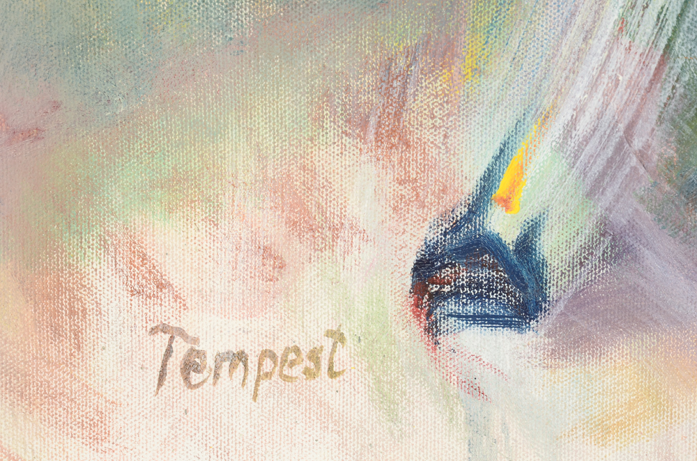 Husidio John Tempest Original Oil Painting on Canvas