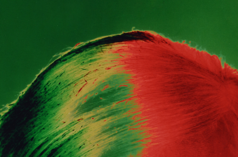 After Philippe Halsman Photographic Portrait of Andy Warhol