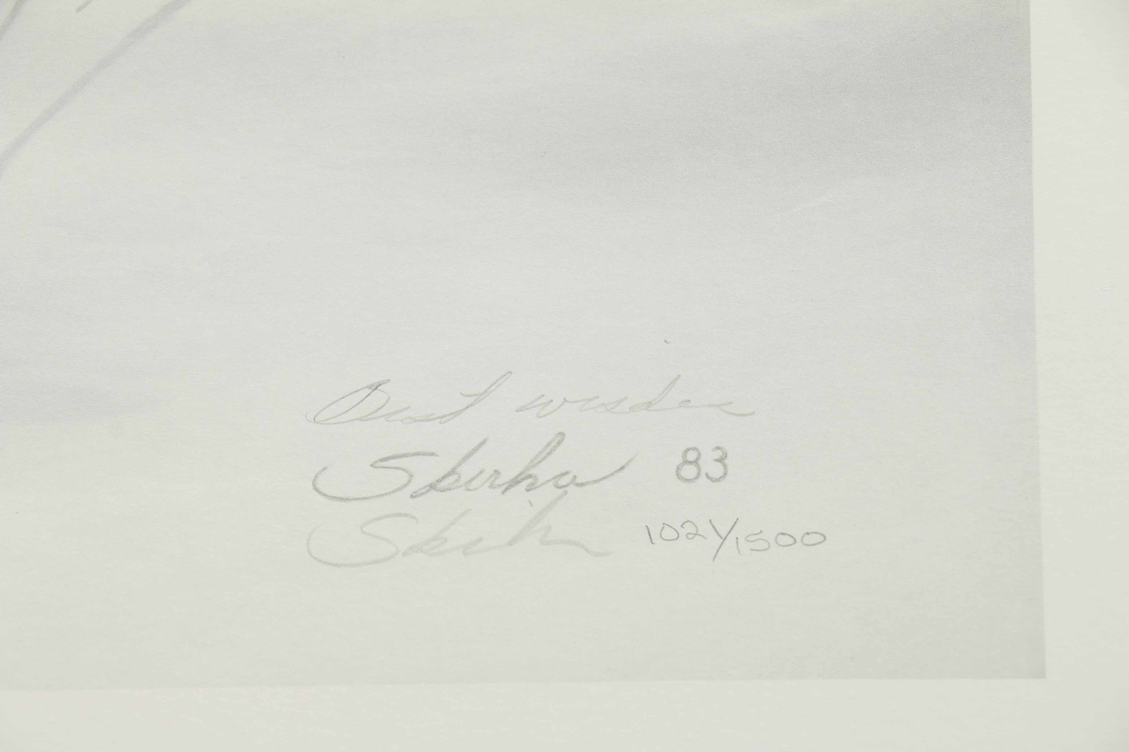 Peter Skirka Signed Limited Edition Big Cat Prints